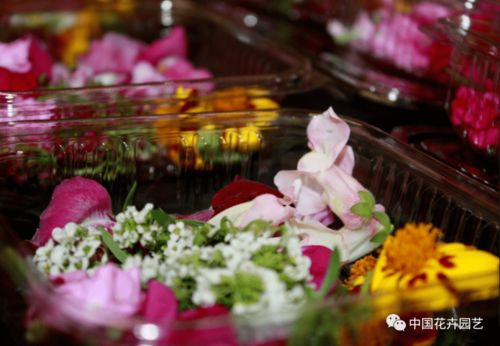 西班牙Innoflower引领食用花卉新风潮 全球最多样化产品，每周国际花讯，饲料应用新突破