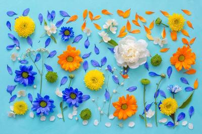 花间漫语 混合花卉与绿植的高清摄影素材免费打包下载指南