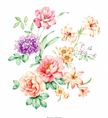 手绘花卉元素与绿植盆栽 自然之美在笔尖绽放