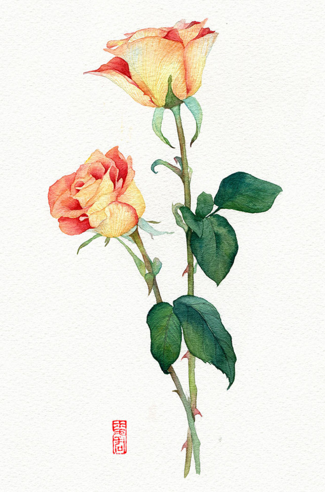 水彩手绘绿植花卉之美 小麦君的艺术盆栽世界