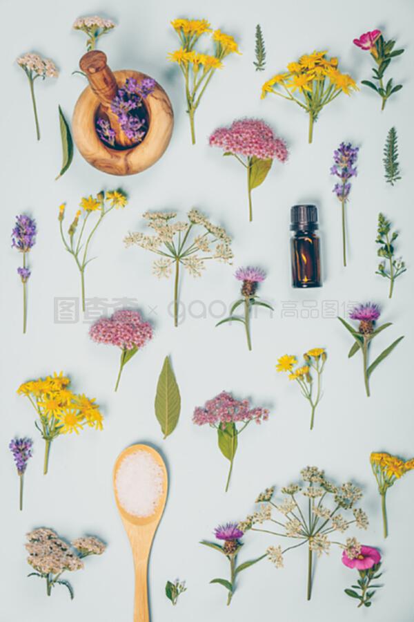 自然之礼 野生疗愈花卉与水疗产品在饲料中的花卉图案设计